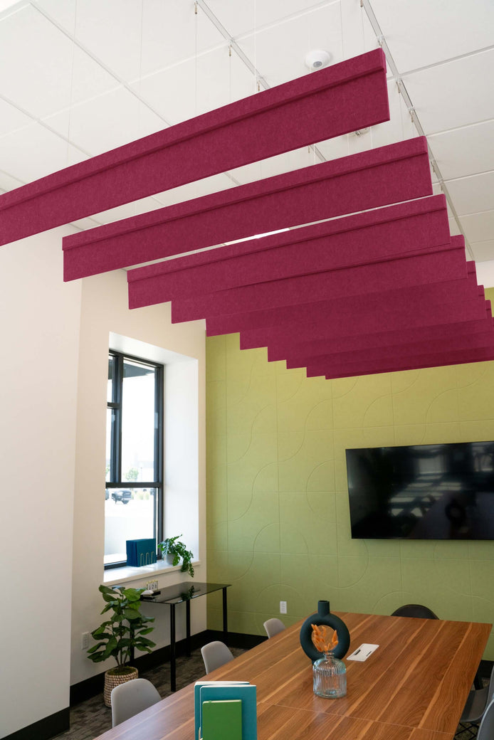 Raspberry Acoustic Blade Baffle