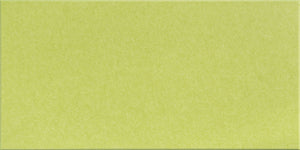 Kiwi Large Halflap