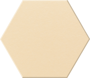 Porcelain Hex Tile