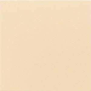 Porcelain Large Square Tile