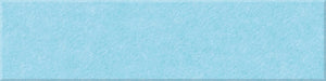 Baby Blue Shiplap