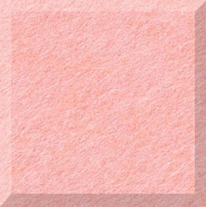 Coral Pixel