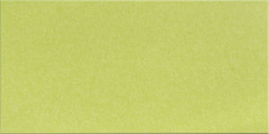 Kiwi Large Halflap