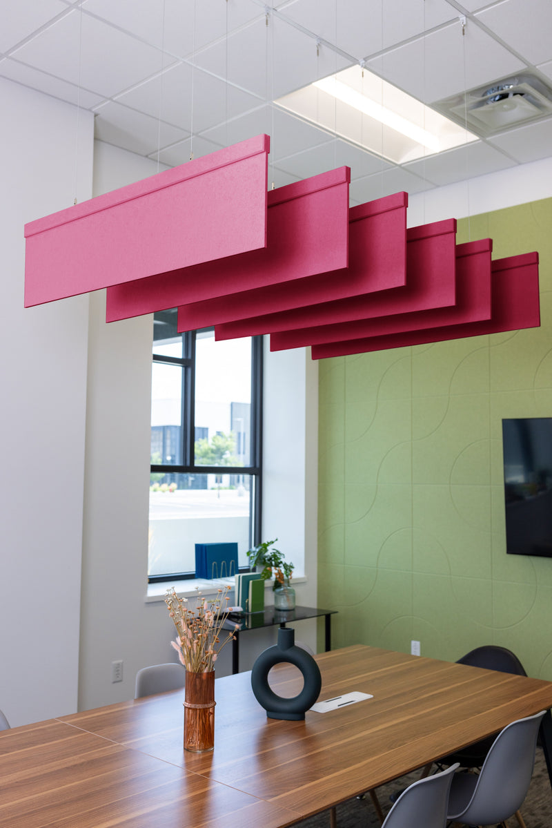Raspberry Acoustic Blade Baffle
