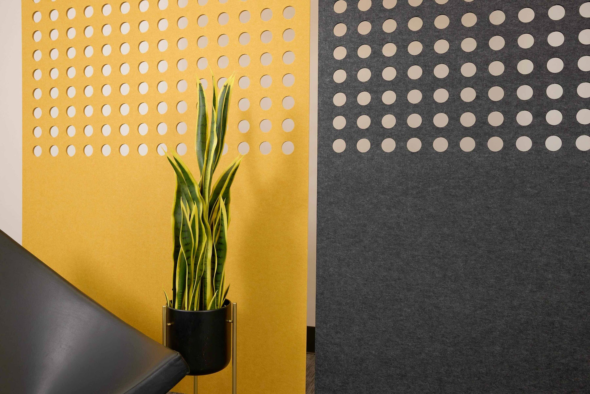 Two room dividers in a shared office space