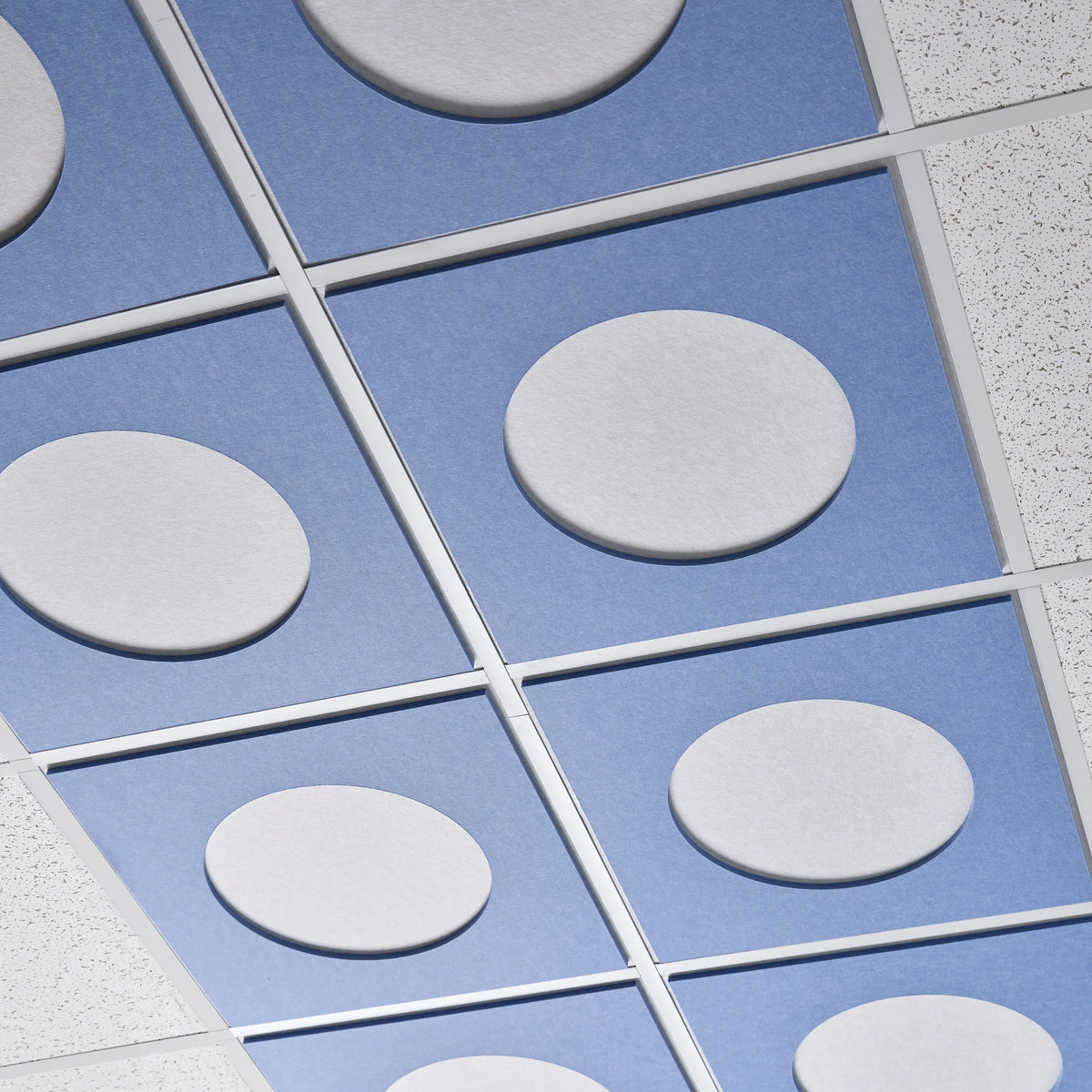 Blue Halo felt drop ceiling tiles with round white center circles in a ceiling grid