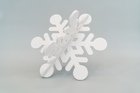 3D Snowflake