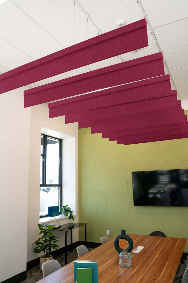 Raspberry Acoustic Blade Baffle