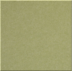 Aloe Large Square