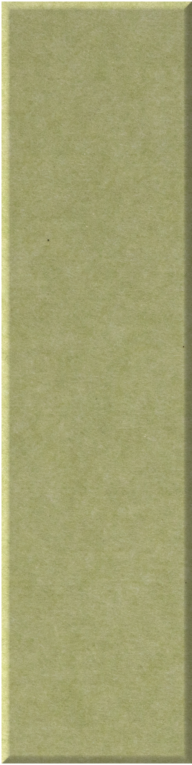 Vertical rectangular tile in sage green with subtle texture and beveled edges.