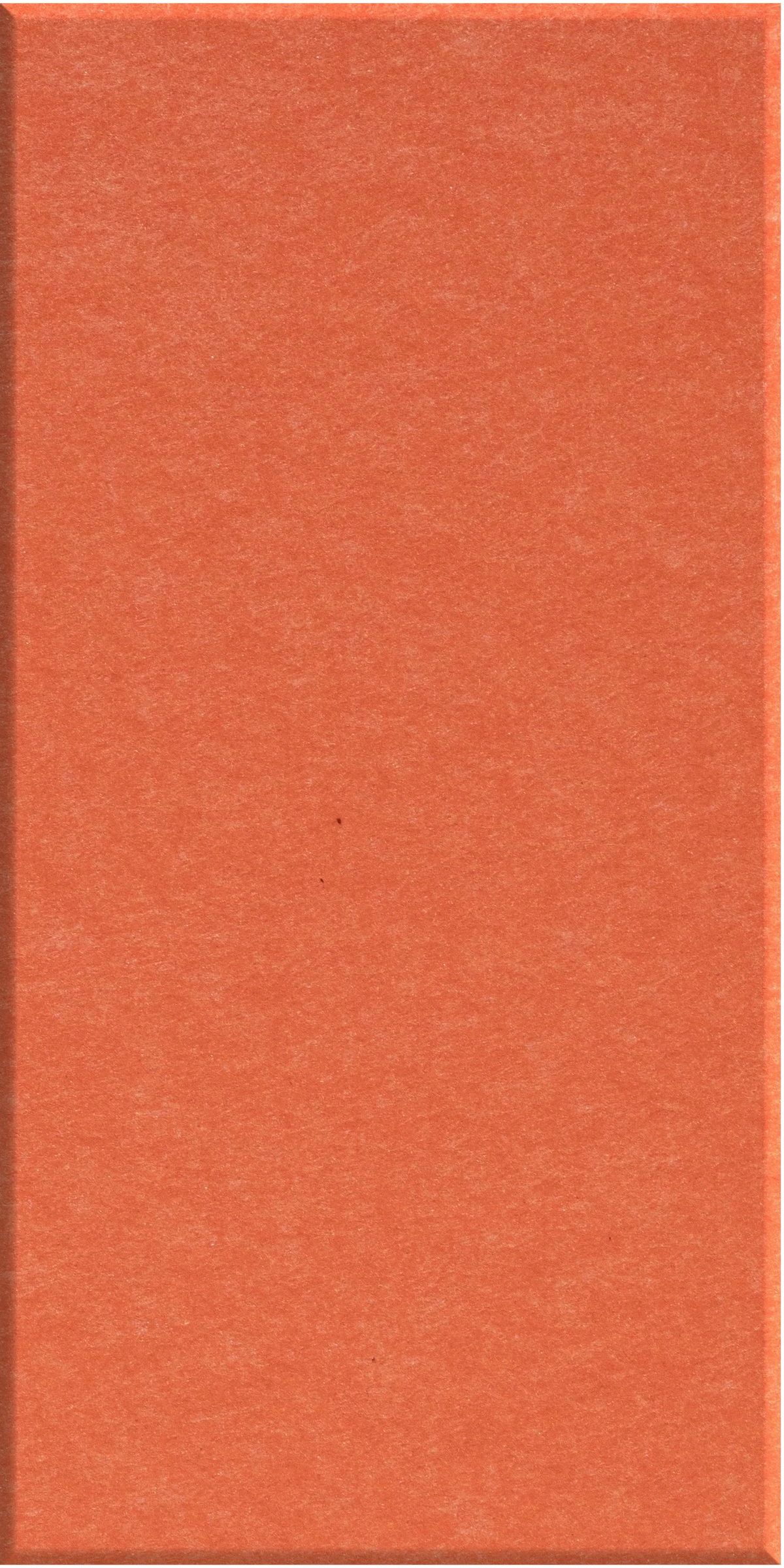 Large rectangular piece of orange felt