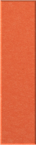Aries Shiplap