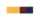 Horizontal color-blocked design folder with gold, burgundy, and navy sections.