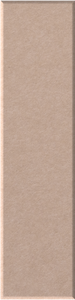 Cashmere Shiplap
