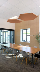 Two brown hexagonal acoustic ceiling baffles suspended above a conference table in an office space.