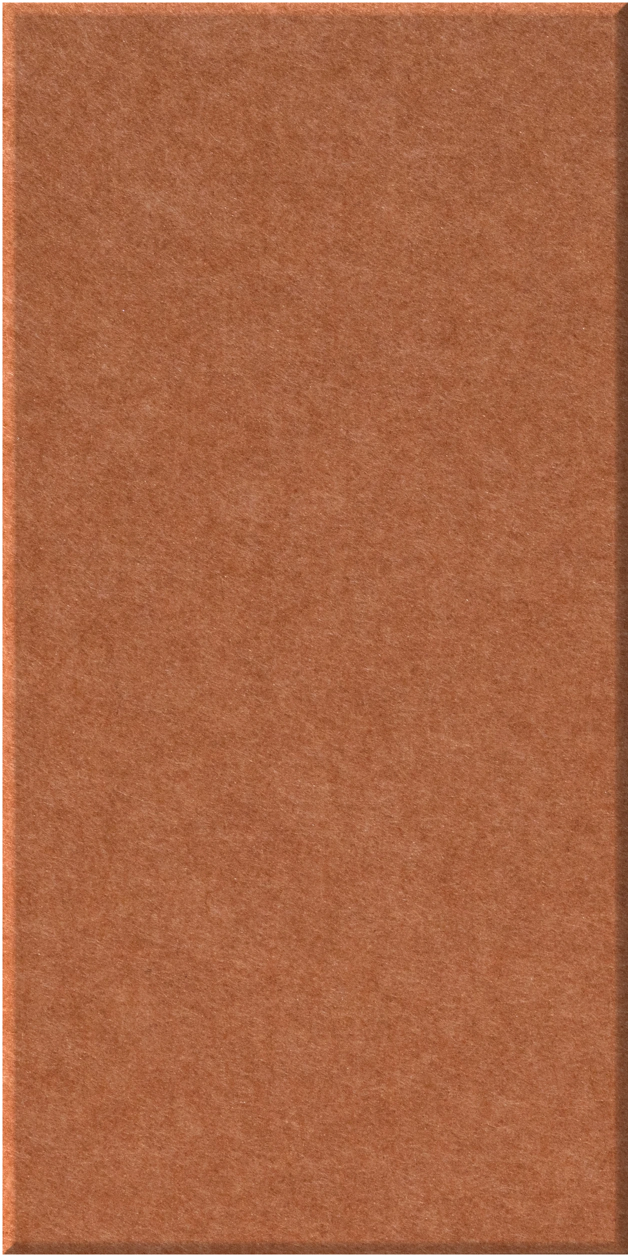 Terracotta-colored rectangular tile with textured surface and beveled edge.