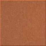 A square, solid textured material swatch in a warm terracotta or rust brown color, framed by a subtle darker border.