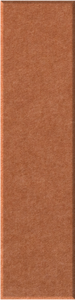 Cinnamon Shiplap