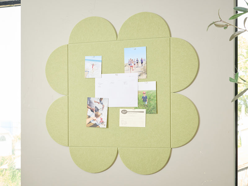Clover Aloe Pinboard Close-up