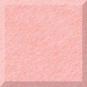 Coral Pixel