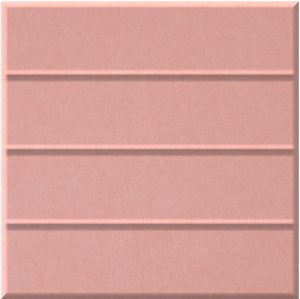 Coral Parallel