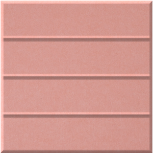 Coral Parallel