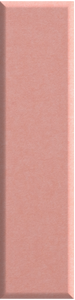 Coral Mini Shiplap