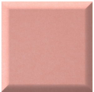 Coral Pixel