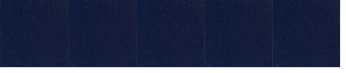 Dark blue paneled wall with vertical grid divisions and white baseboard trim.