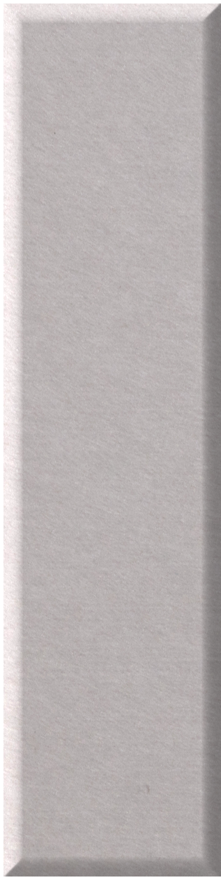 Light gray beveled shiplap tile with vertical rectangular shape and textured surface.