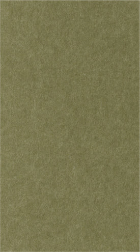 Close up color of Olive