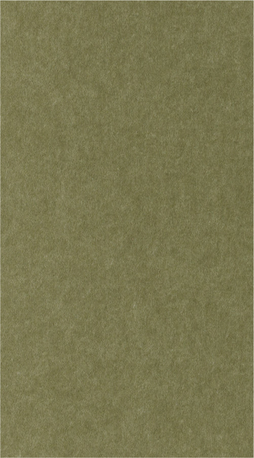 Close up color of Olive