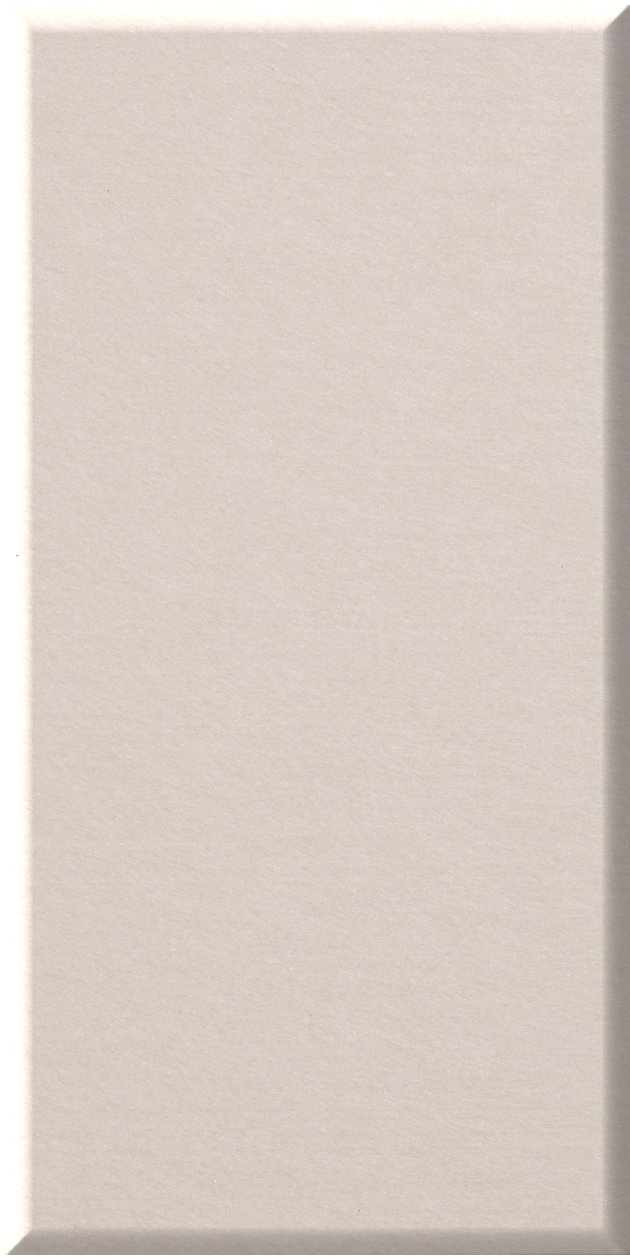 Beige rectangular tile with beveled edge and matte finish.