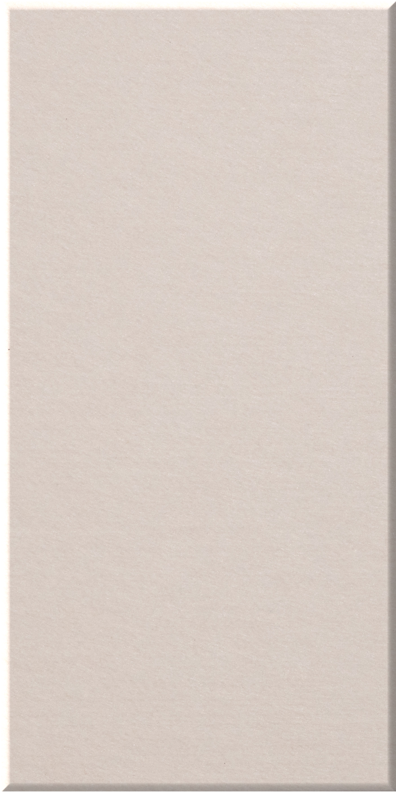 Tall rectangular ceramic tile with matte beige surface and subtle textured finish.