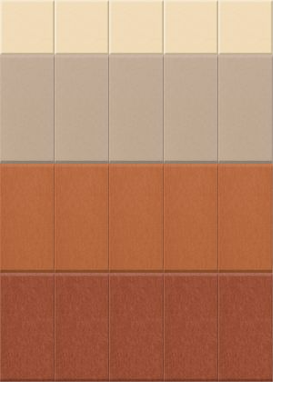 Color palette with five horizontal bands in cream, taupe, burnt orange, and terracotta tones separated by grid lines.