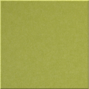 Kiwi Large Square