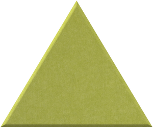 Kiwi Large Triangle