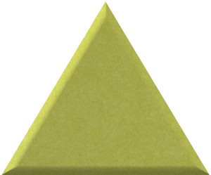 Kiwi Small Triangle