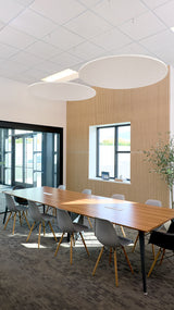 Two circular flat acoustic baffles with cream fabric tops and ribbed wood sides suspended from ceiling in office space.