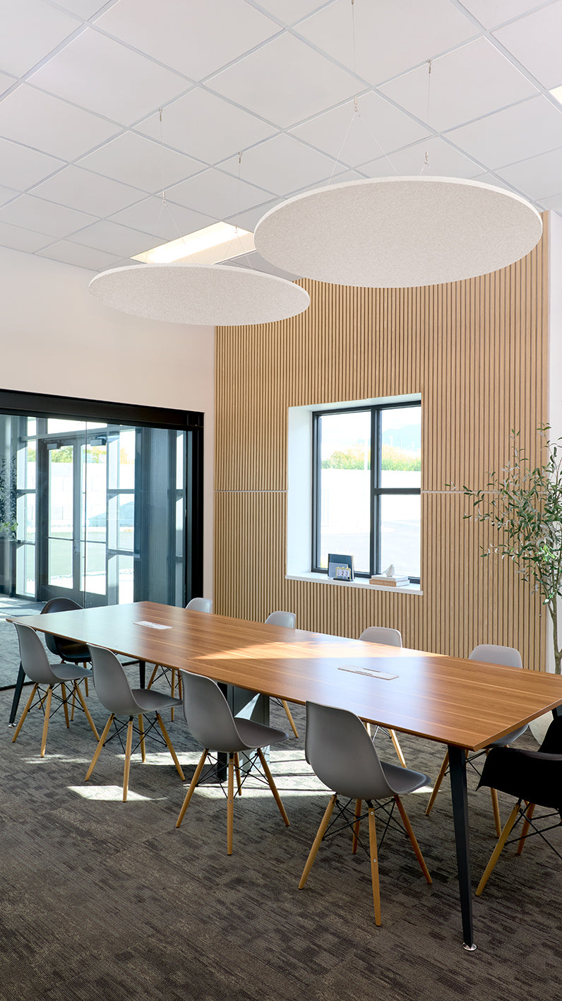 Flat Circle Cloud Baffles