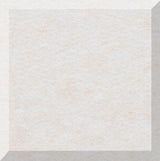 Beige ceramic tile with speckled texture and gray border on white background.