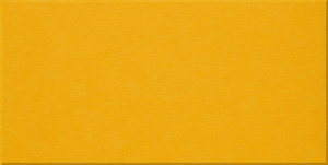 Dandelion Large Halflap