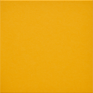 Dandelion Large Square