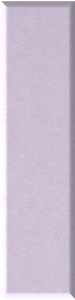 Lilac Mini Shiplap