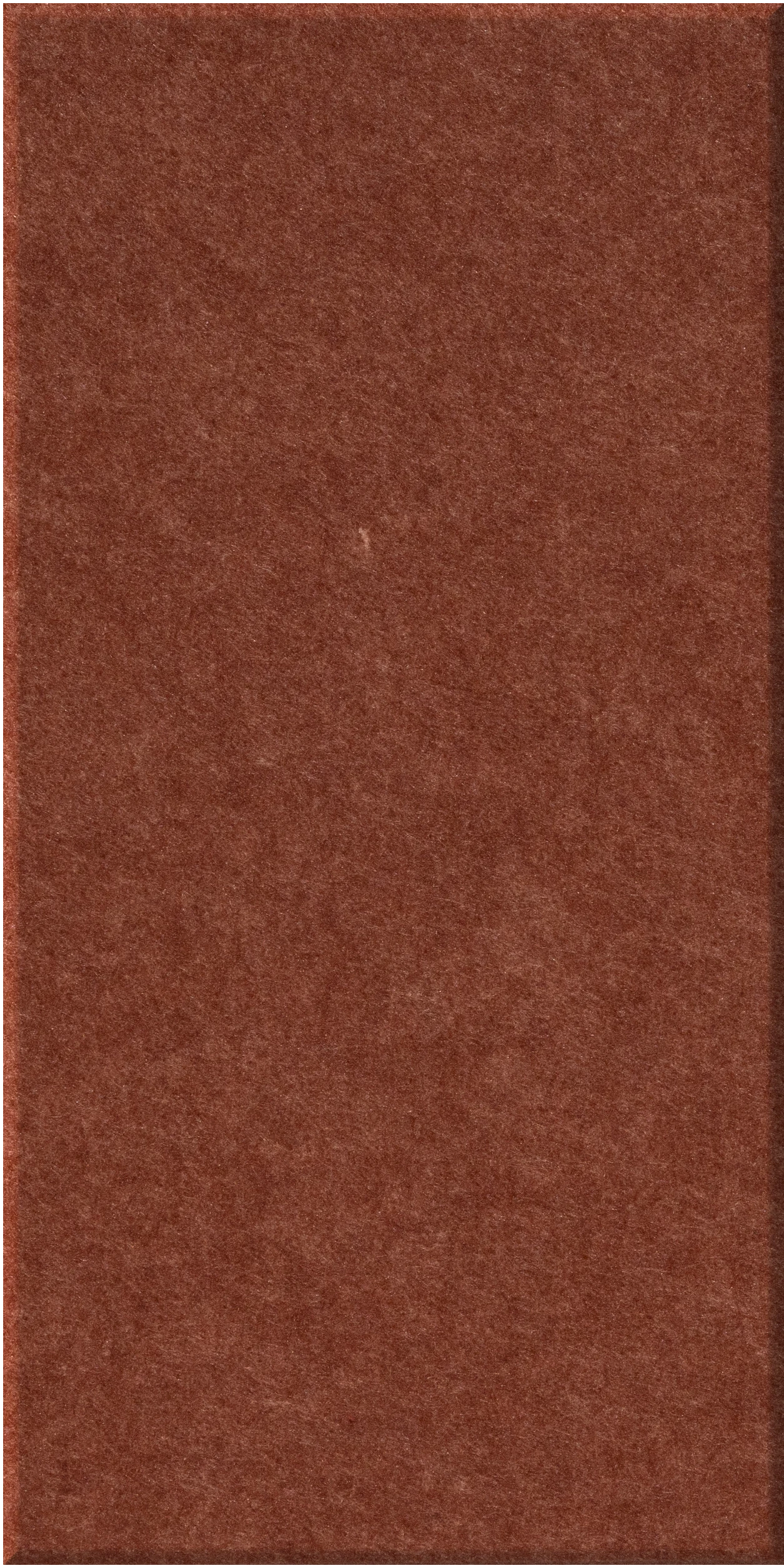 Rectangular terracotta-red tile with textured surface and subtle color variation throughout.