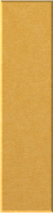 Mustard Shiplap