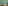 Layered Palm and Indigo Offset