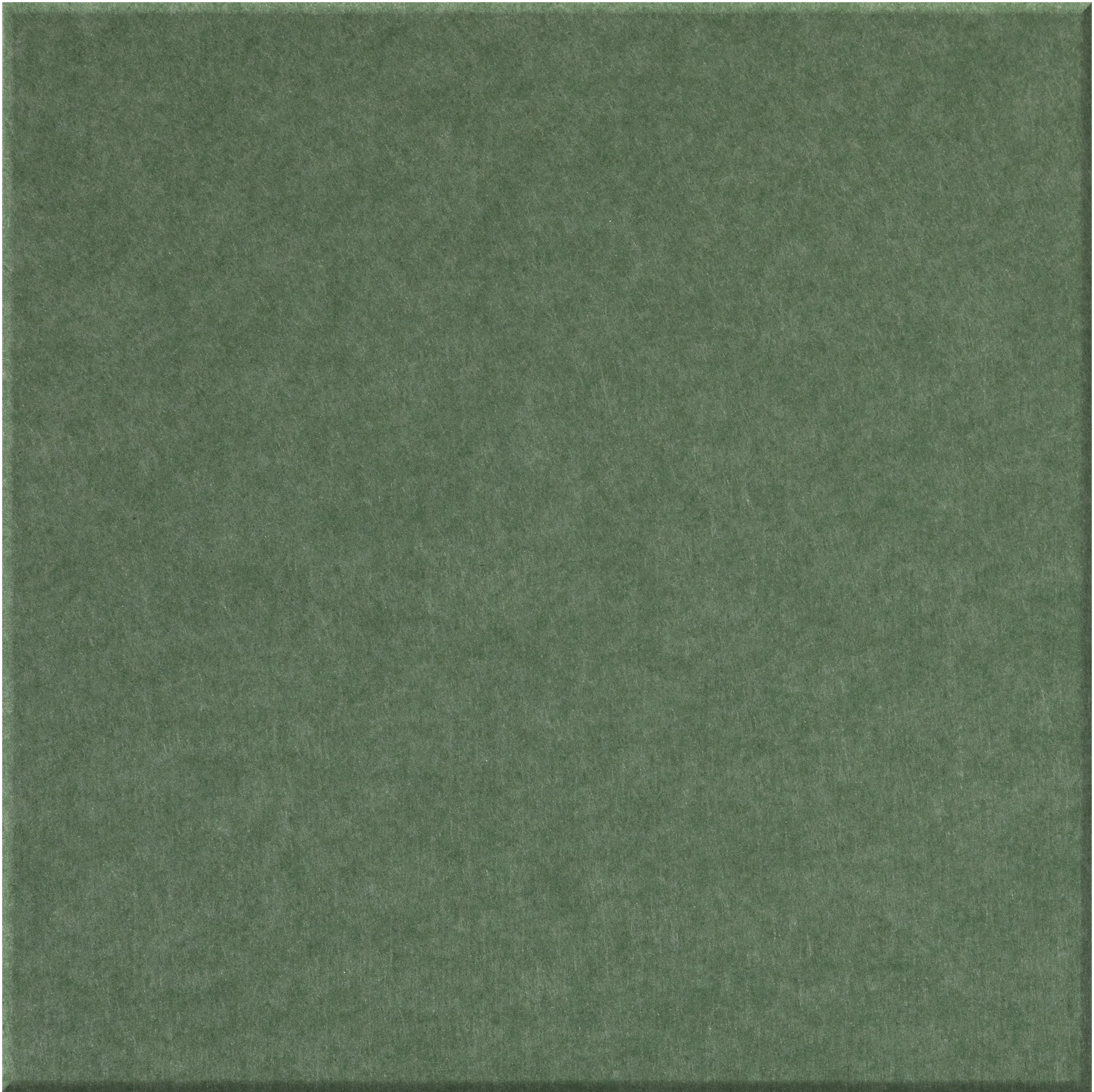 Large square tile with matte sage green finish and subtle textured surface.