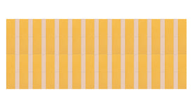 Pinstripe Mustard
