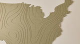 Topographic US Map Wall Art